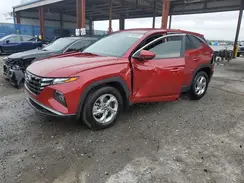 5NMJA3DE7RH431845 2024 HYUNDAI TUCSON