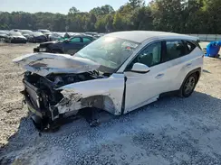 5NMJA3DE7SH483269 2025 HYUNDAI TUCSON