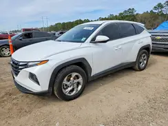 5NMJA3DE9RH430504 2024 HYUNDAI TUCSON