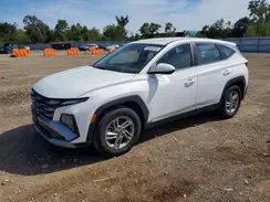 5NMJA3DE9SH443453 2025 HYUNDAI TUCSON