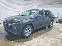5NMJACAE0PH235666 2023 HYUNDAI TUCSON