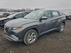 5NMJACAE4PH203576 2023 HYUNDAI TUCSON