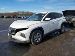 5NMJACAE4PH239588 2023 HYUNDAI TUCSON