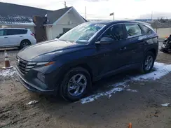 5NMJACAE7PH292186 2023 HYUNDAI TUCSON
