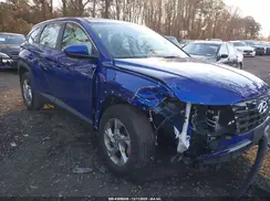 5NMJACAE8PH255020 2023 HYUNDAI TUCSON