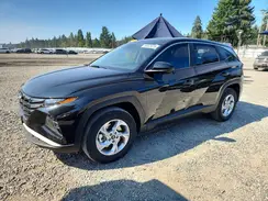 5NMJACAEXPH176576 2023 HYUNDAI TUCSON