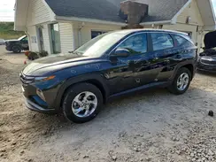 5NMJACDE0RH294456 2024 HYUNDAI TUCSON