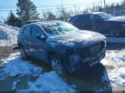 5NMJACDE0RH298782 2024 HYUNDAI TUCSON