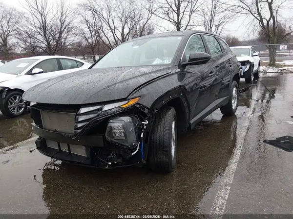 5NMJACDE0RH439141 2024 HYUNDAI TUCSON - Image 2