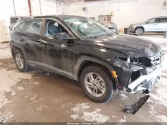 5NMJACDE0SH491861 2025 HYUNDAI TUCSON