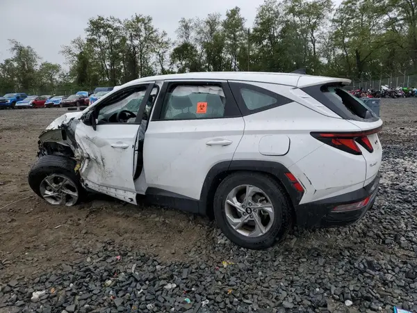 5NMJACDE1RH316142 2024 HYUNDAI TUCSON - Image 2