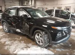 5NMJACDE1RH354695 2024 HYUNDAI TUCSON