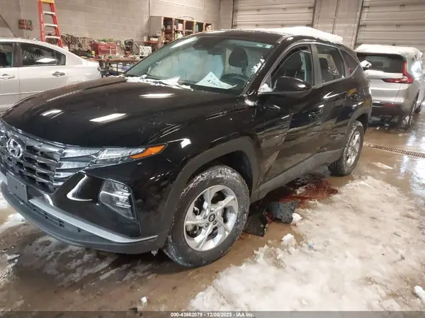 5NMJACDE1RH354695 2024 HYUNDAI TUCSON - Image 2