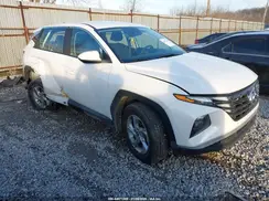 5NMJACDE1RH402356 2024 HYUNDAI TUCSON