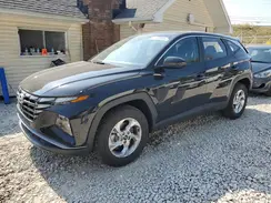 5NMJACDE1RH434689 2024 HYUNDAI TUCSON