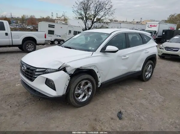 5NMJACDE2RH320409 2024 HYUNDAI TUCSON - Image 2