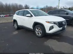 5NMJACDE2RH327490 2024 HYUNDAI TUCSON
