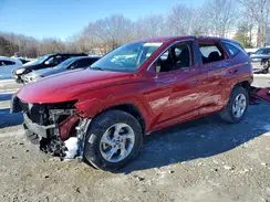 5NMJACDE2RH437875 2024 HYUNDAI TUCSON