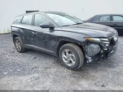5NMJACDE3RH304445 2024 HYUNDAI TUCSON