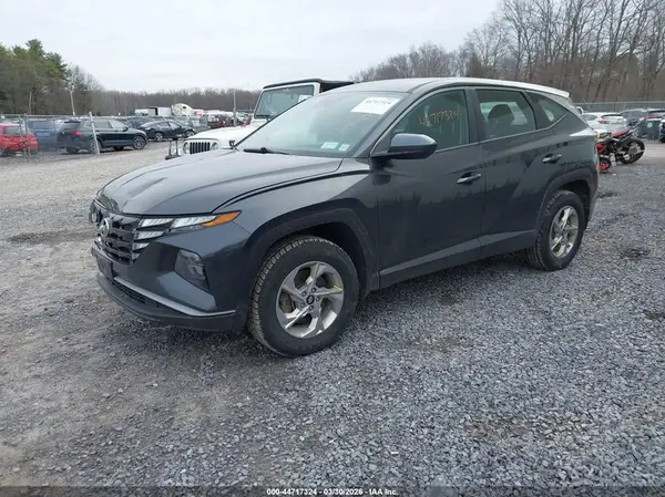 5NMJACDE3RH304445 2024 HYUNDAI TUCSON - Image 2