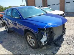 5NMJACDE3RH348591 2024 HYUNDAI TUCSON