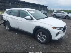 5NMJACDE4RH342833 2024 HYUNDAI TUCSON