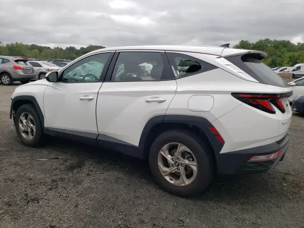 5NMJACDE4RH433844 2024 HYUNDAI TUCSON - Image 2