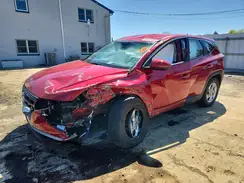 5NMJACDE4RH439952 2024 HYUNDAI TUCSON
