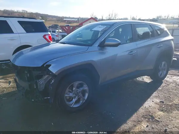 5NMJACDE6RH350335 2024 HYUNDAI TUCSON - Image 2