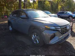 5NMJACDE6RH434557 2024 HYUNDAI TUCSON