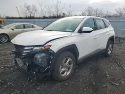 5NMJACDE6RH436180 2024 HYUNDAI TUCSON