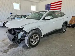 5NMJACDE7RH333768 2024 HYUNDAI TUCSON