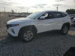 5NMJACDE8RH436892 2024 HYUNDAI TUCSON