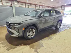 5NMJACDE8SH465296 2025 HYUNDAI TUCSON
