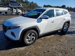 5NMJACDEXRH411203 2024 HYUNDAI TUCSON