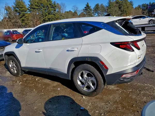 5NMJACDEXRH411203 2024 HYUNDAI TUCSON - Image 2