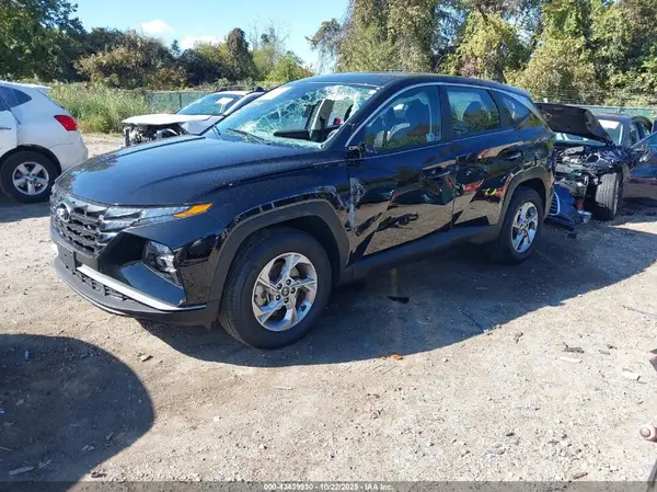 5NMJACDEXRH439146 2024 HYUNDAI TUCSON - Image 2
