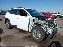 5NMJB3AE0PH210733 2023 HYUNDAI TUCSON