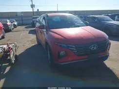 5NMJB3AE0PH226883 2023 HYUNDAI TUCSON