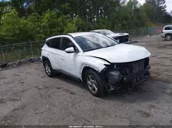 5NMJB3AE0PH244946 2023 HYUNDAI TUCSON