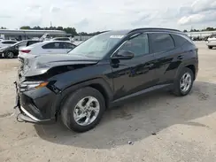 5NMJB3AE1PH169271 2023 HYUNDAI TUCSON