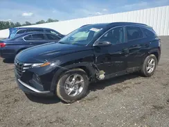 5NMJB3AE1PH188791 2023 HYUNDAI TUCSON