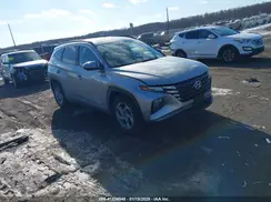 5NMJB3AE1PH195885 2023 HYUNDAI TUCSON