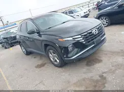 5NMJB3AE1PH196177 2023 HYUNDAI TUCSON