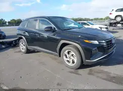 5NMJB3AE1PH241957 2023 HYUNDAI TUCSON