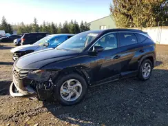 5NMJB3AE1PH293394 2023 HYUNDAI TUCSON