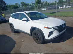 5NMJB3AE2PH215920 2023 HYUNDAI TUCSON