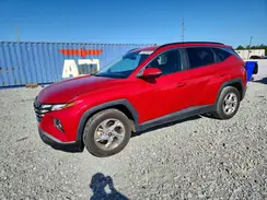 5NMJB3AE2PH216002 2023 HYUNDAI TUCSON