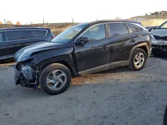 5NMJB3AE2PH281805 2023 HYUNDAI TUCSON