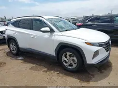 5NMJB3AE3PH210158 2023 HYUNDAI TUCSON